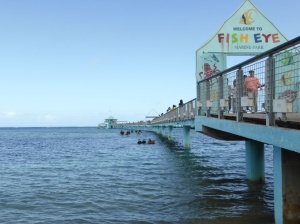 魚眼公園 vs 潛水客