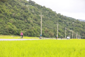 花東道路騎乘