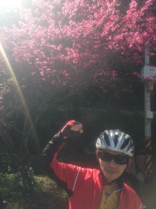 陽光下桜美,人也陽光